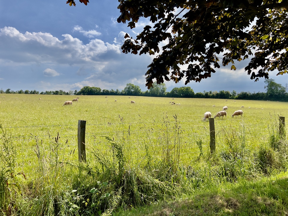 4 bed detached house for sale in Tower Hill, Williton  - Property Image 28