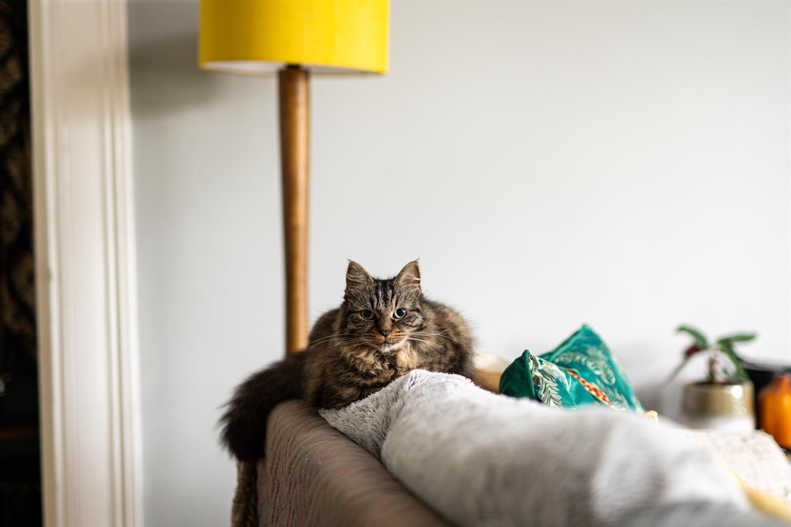 1 bed apartment for sale in Fernbank Road, Bristol 10