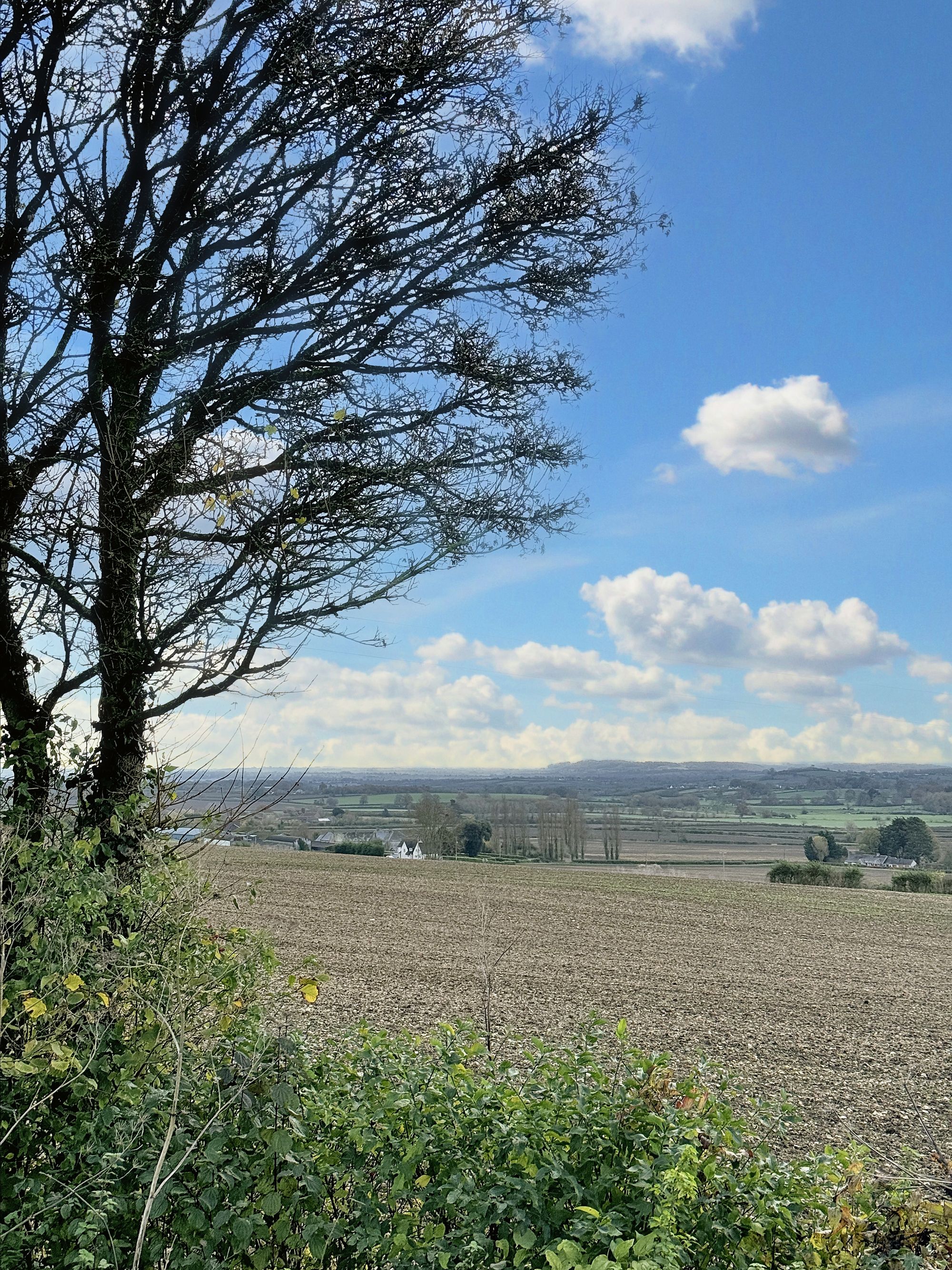 2 bed mews house to rent in The Hill, Langport  - Property Image 10