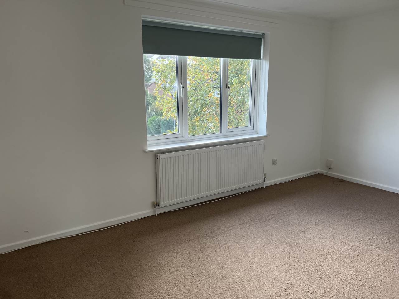 2 bed flat to rent in Sylvania Drive, Exeter  - Property Image 8