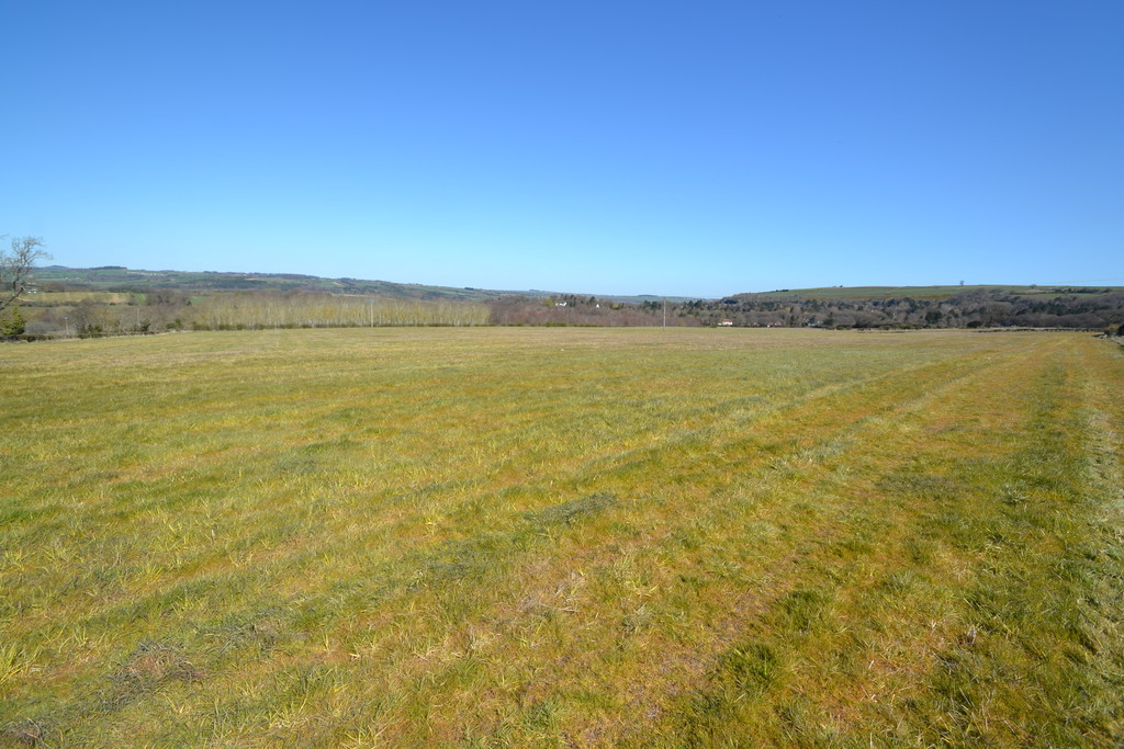Farm land for sale, Stocksfield 1
