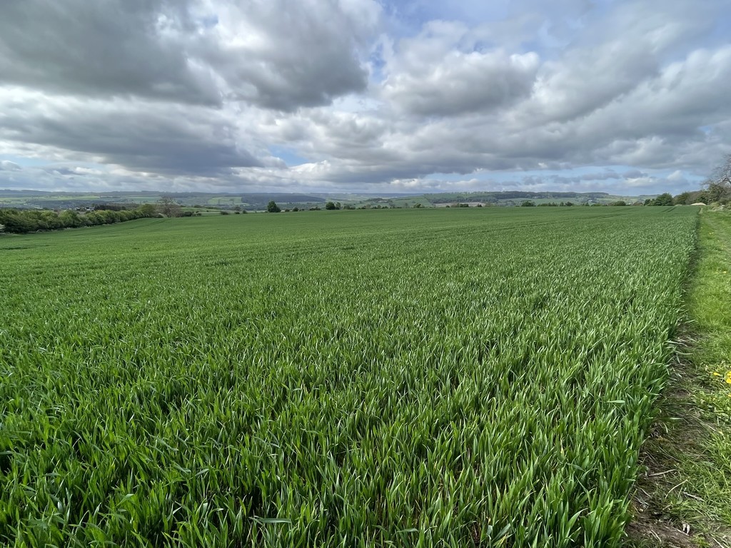 Farm land for sale, Stocksfield  - Property Image 6