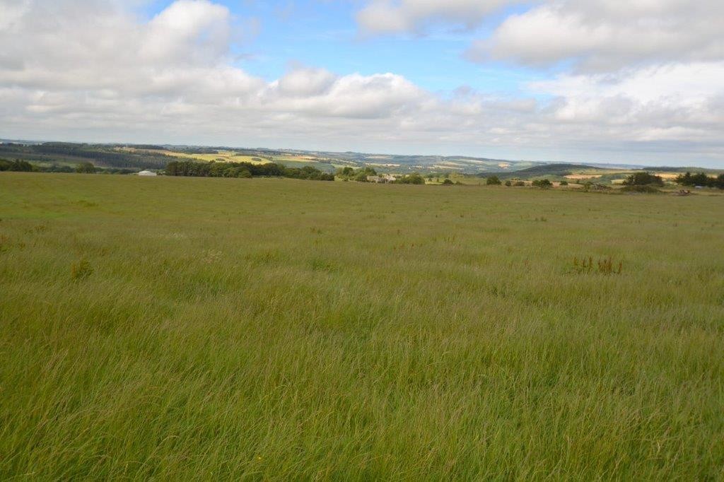 Farm land for sale, Hexham  - Property Image 2
