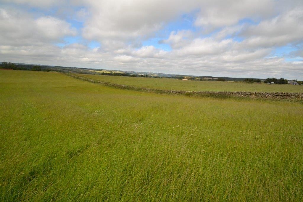 Farm land for sale, Hexham  - Property Image 6