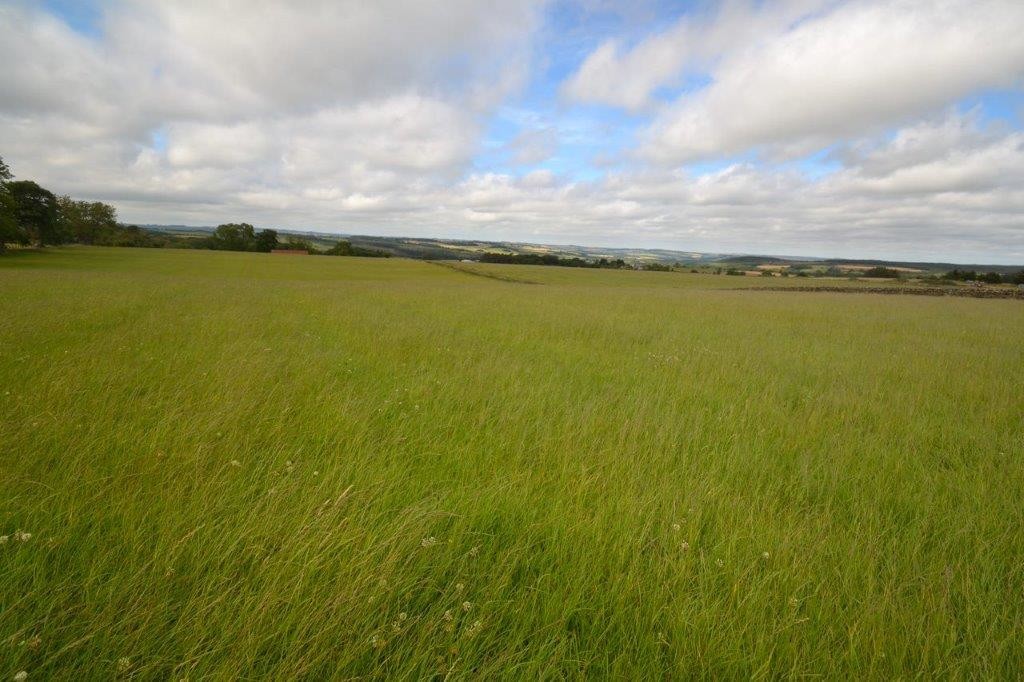 Farm land for sale, Hexham, NE47