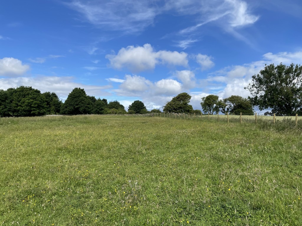 Farm land for sale, Shildon 1