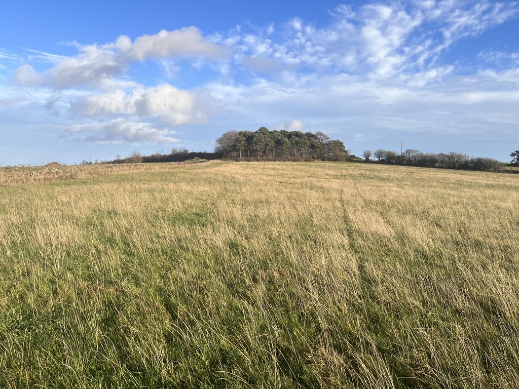 Farm land for sale, Newcastle Upon Tyne, NE17