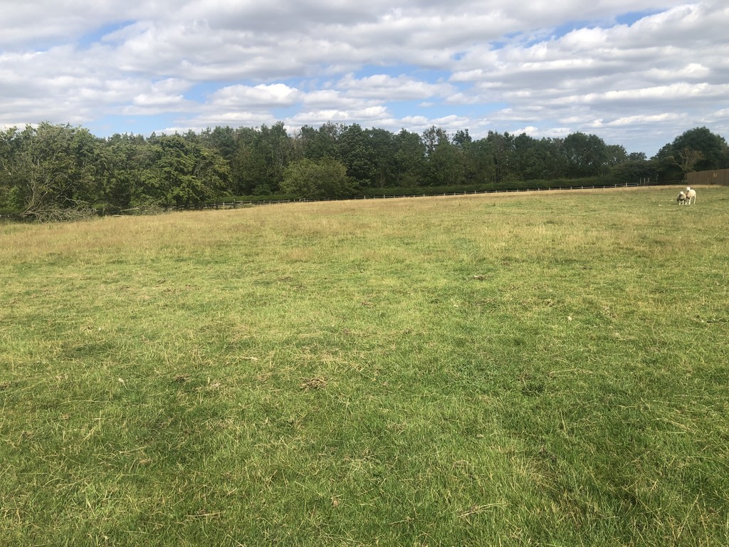 Farm land for sale, Newcastle Upon Tyne  - Property Image 4