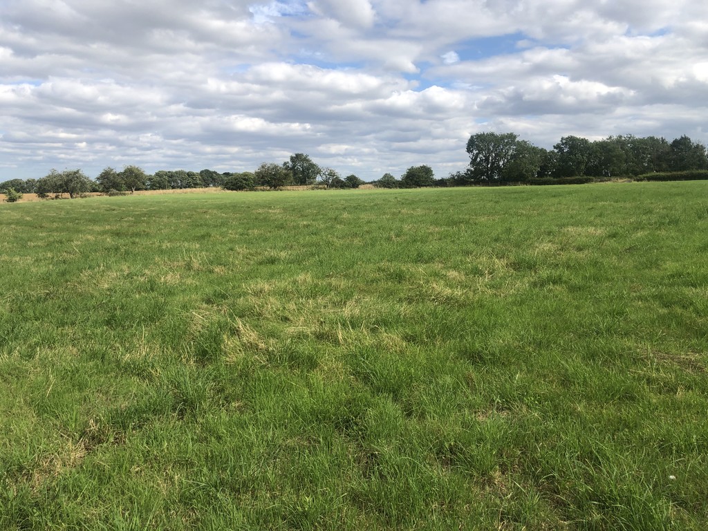 Farm land for sale, Newcastle Upon Tyne  - Property Image 7