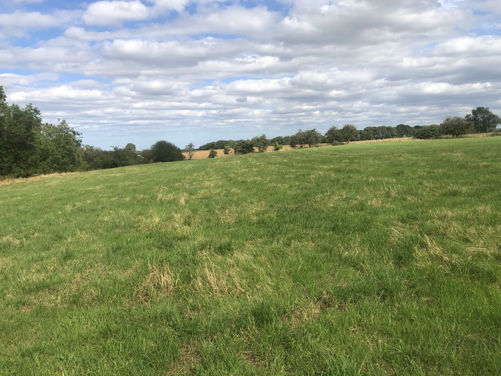 Farm land for sale, Newcastle Upon Tyne  - Property Image 8
