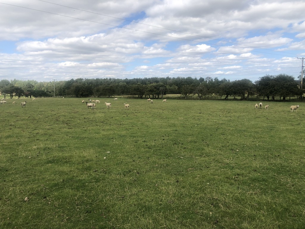 Farm land for sale, Newcastle Upon Tyne  - Property Image 9