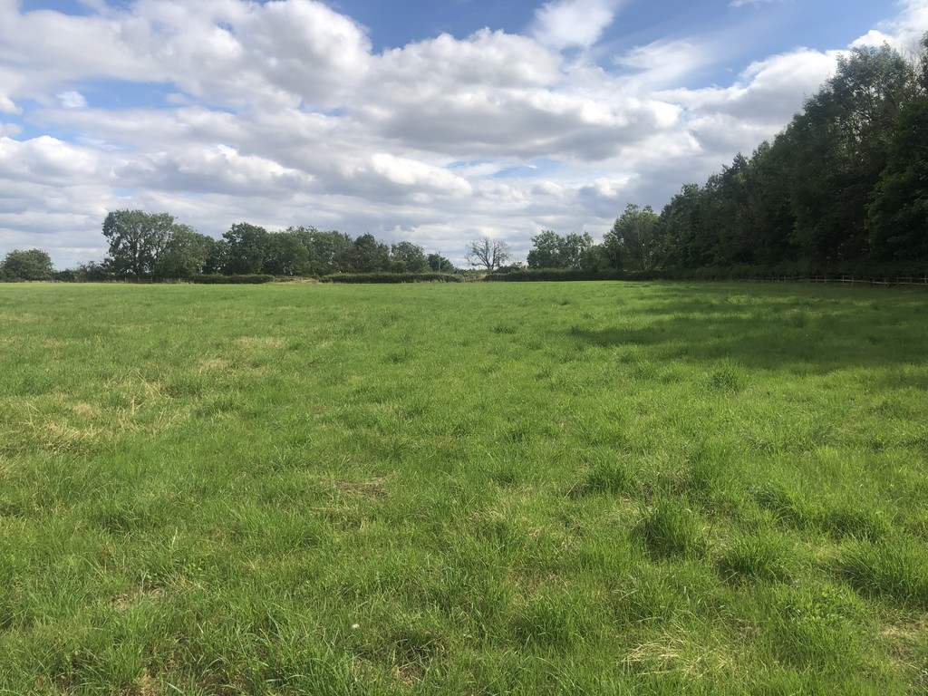 Farm land for sale, Newcastle Upon Tyne 2