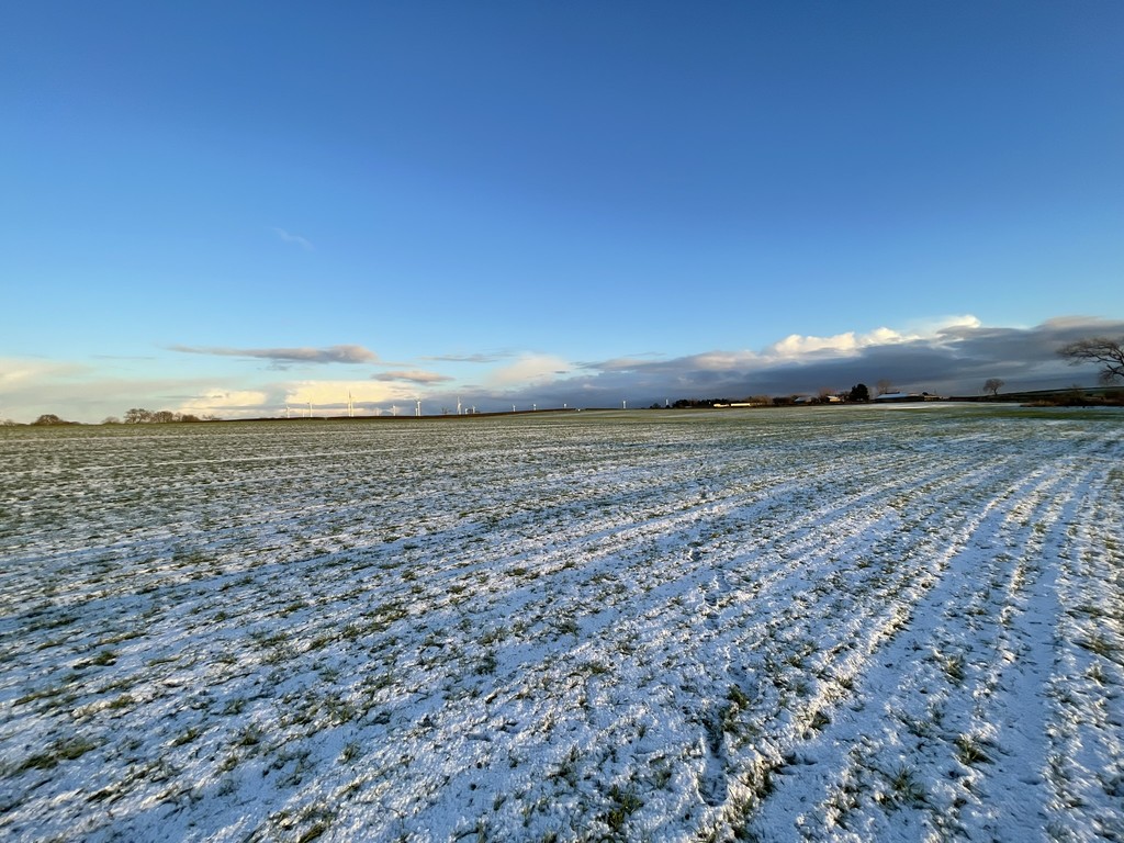 Farm land for sale, Stockton-on-Tees  - Property Image 3