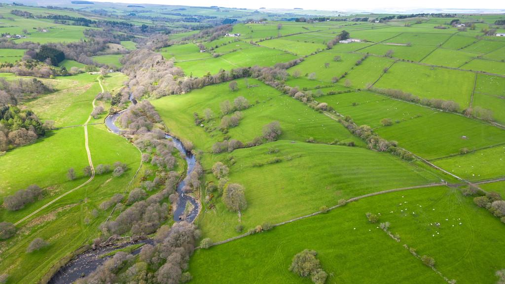 Farm land for sale, Hexham  - Property Image 16