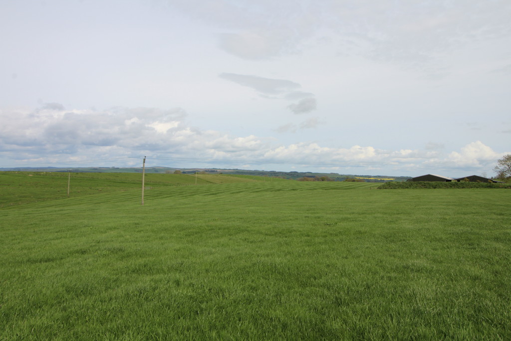 Farm land for sale, Hexham  - Property Image 5