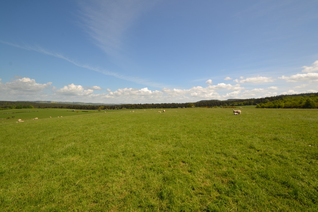 Farm land for sale, Hexham  - Property Image 8