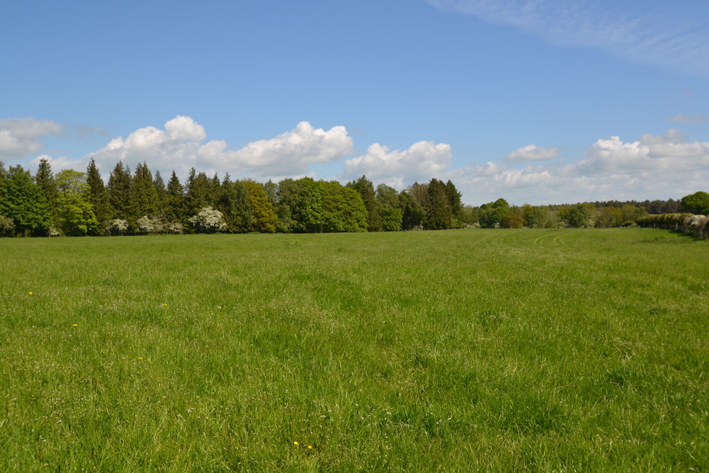 Farm land for sale, Hexham  - Property Image 9