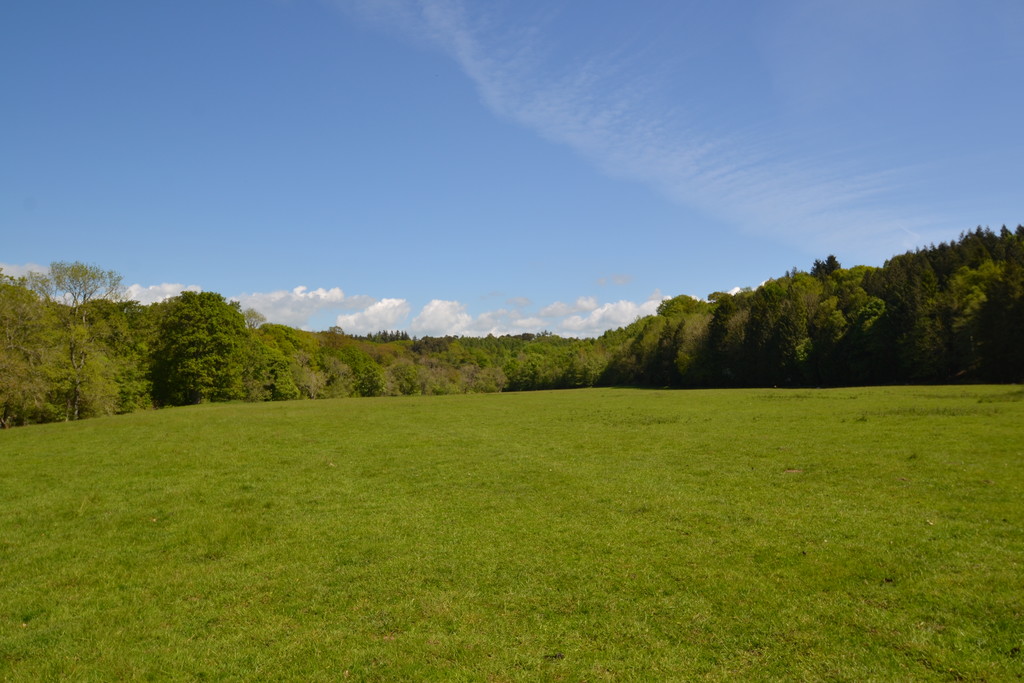 Farm land for sale, Hexham  - Property Image 11
