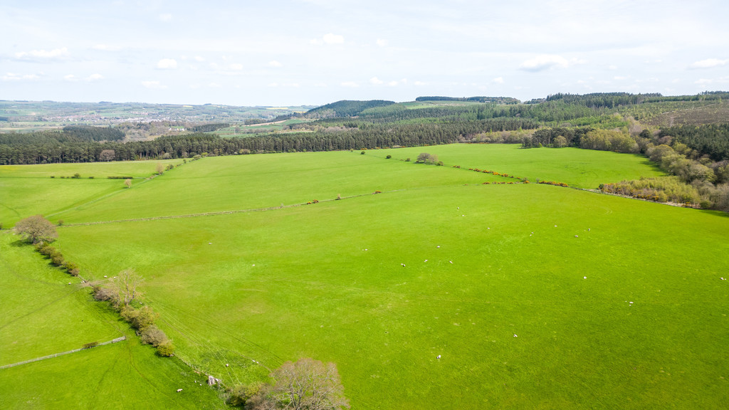 Farm land for sale, Hexham  - Property Image 4
