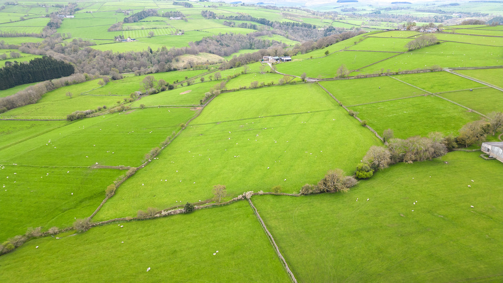 Farm land for sale, Hexham 1