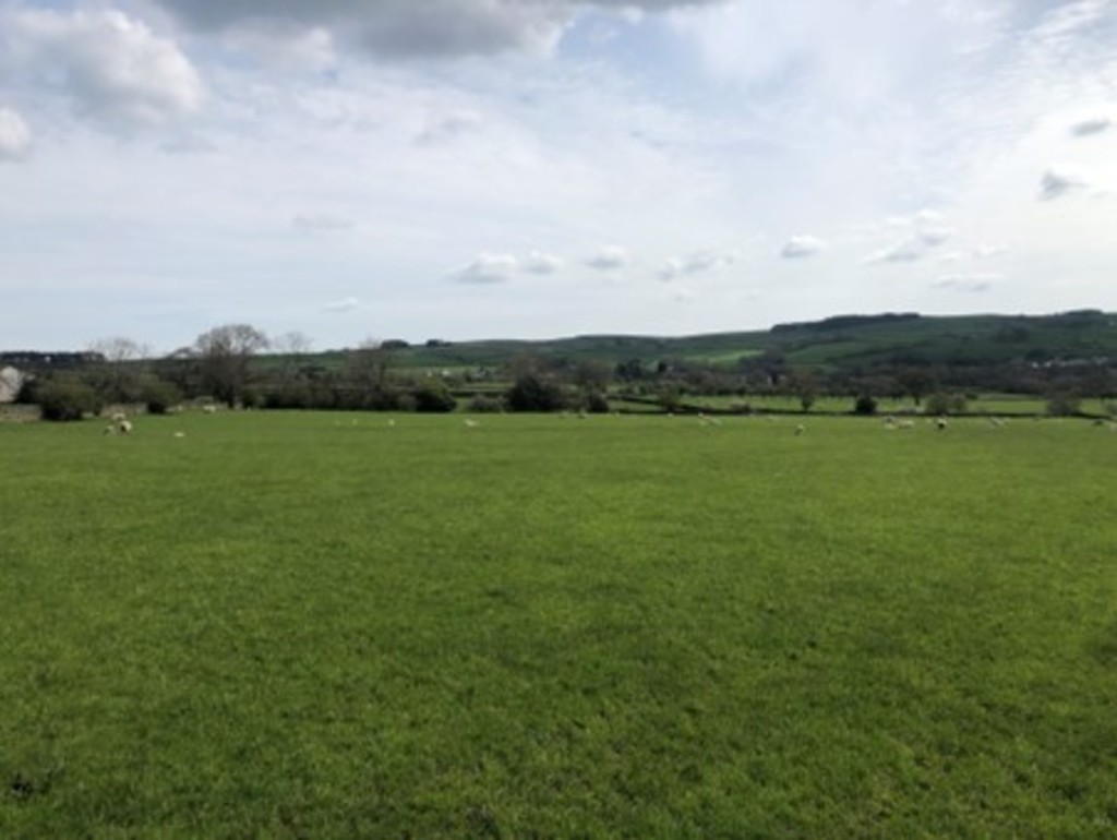 Farm land for sale, Hexham  - Property Image 7