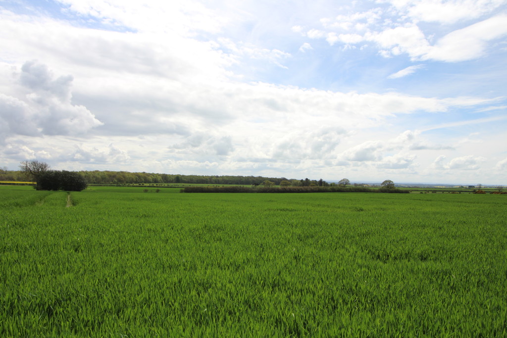 Farm land for sale, Morpeth  - Property Image 5