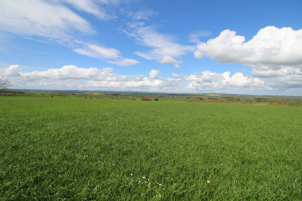 Farm land for sale, Morpeth  - Property Image 7