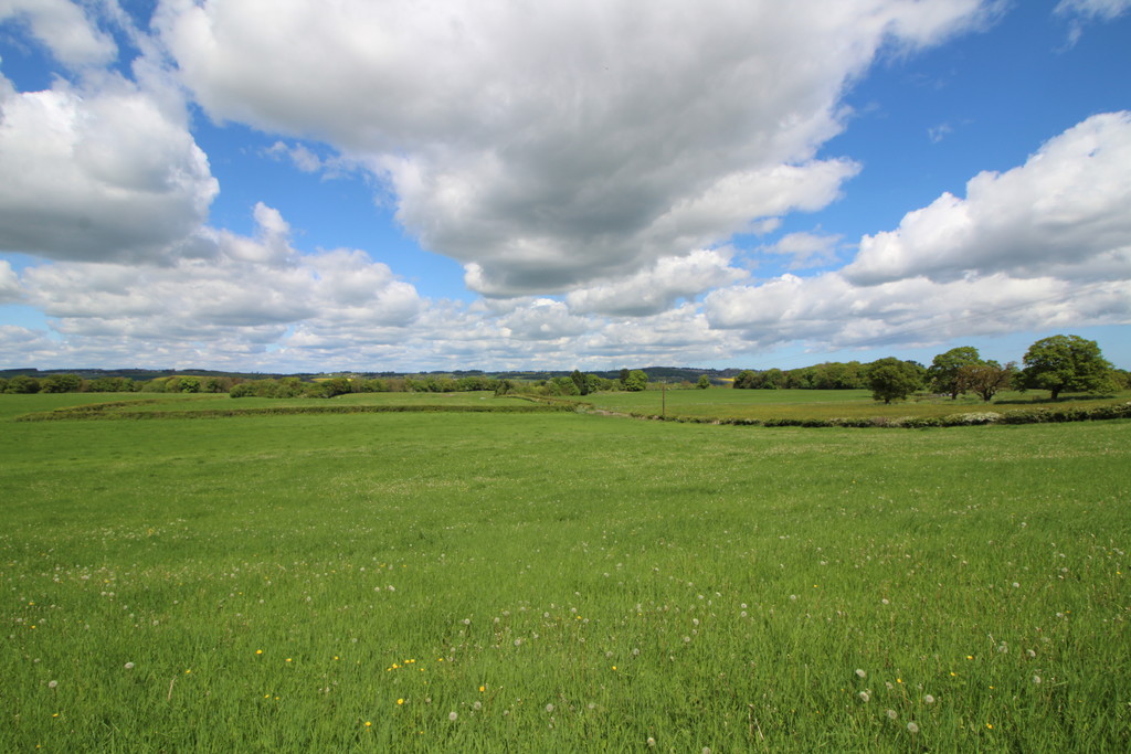 Farm land for sale, Wylam 1