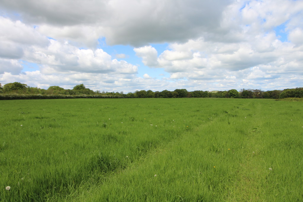 Farm land for sale, Wylam  - Property Image 7