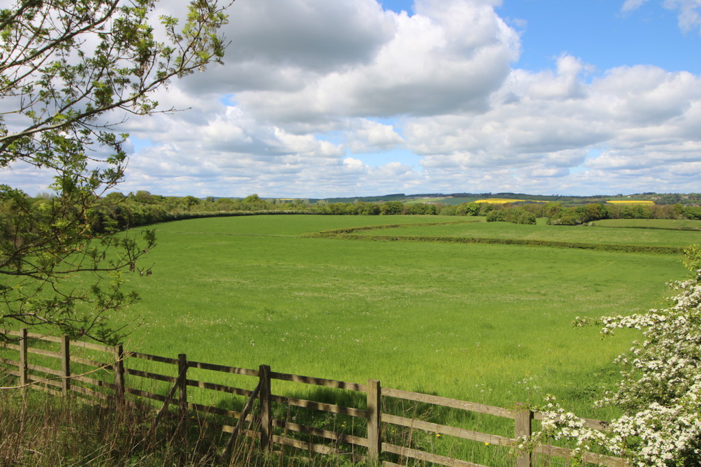 Farm land for sale, Wylam  - Property Image 8