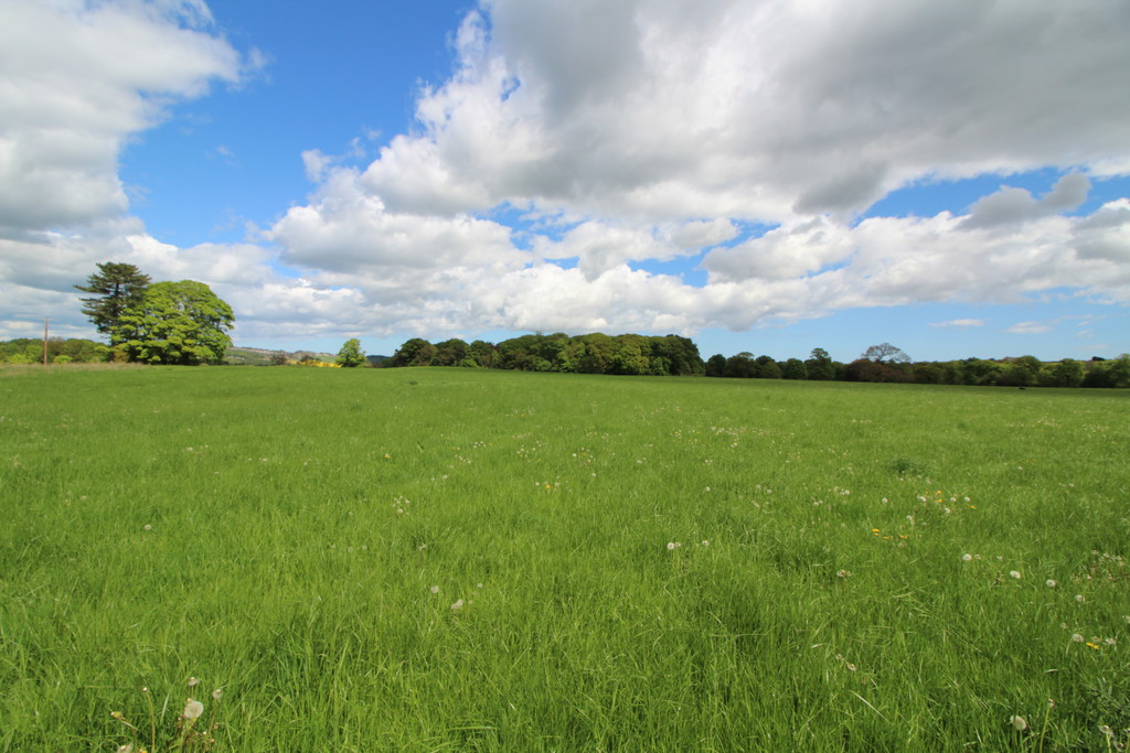 Farm land for sale, Wylam  - Property Image 1