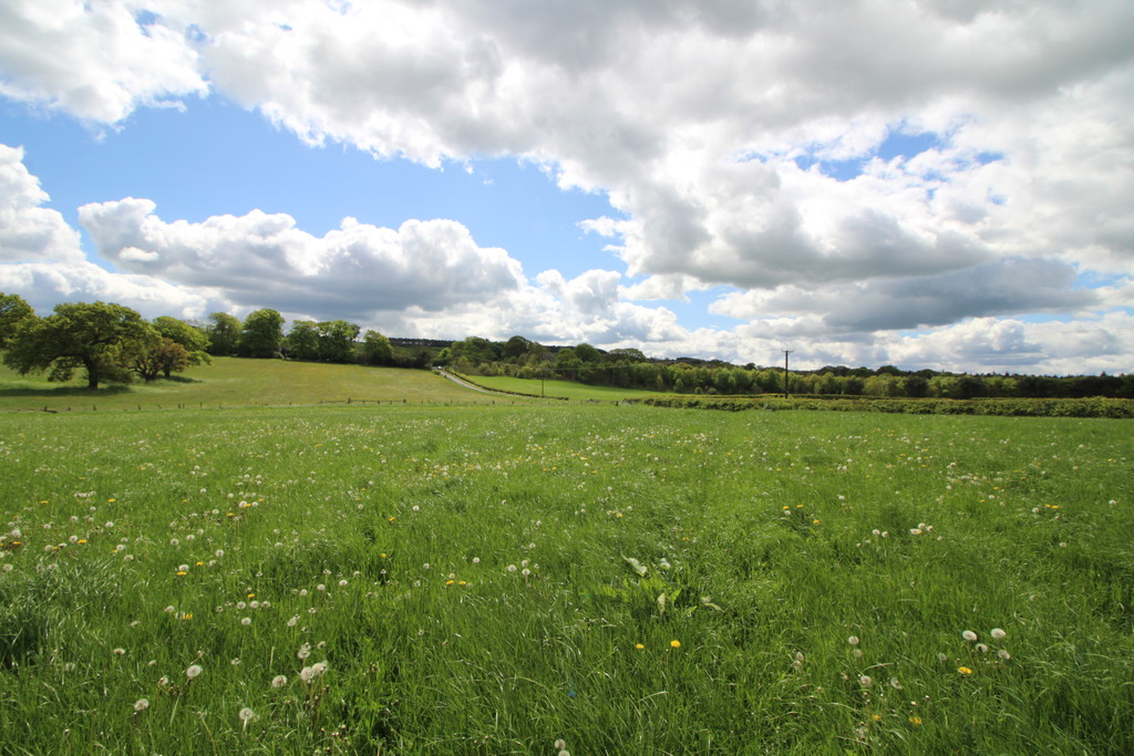Farm land for sale, Wylam  - Property Image 2