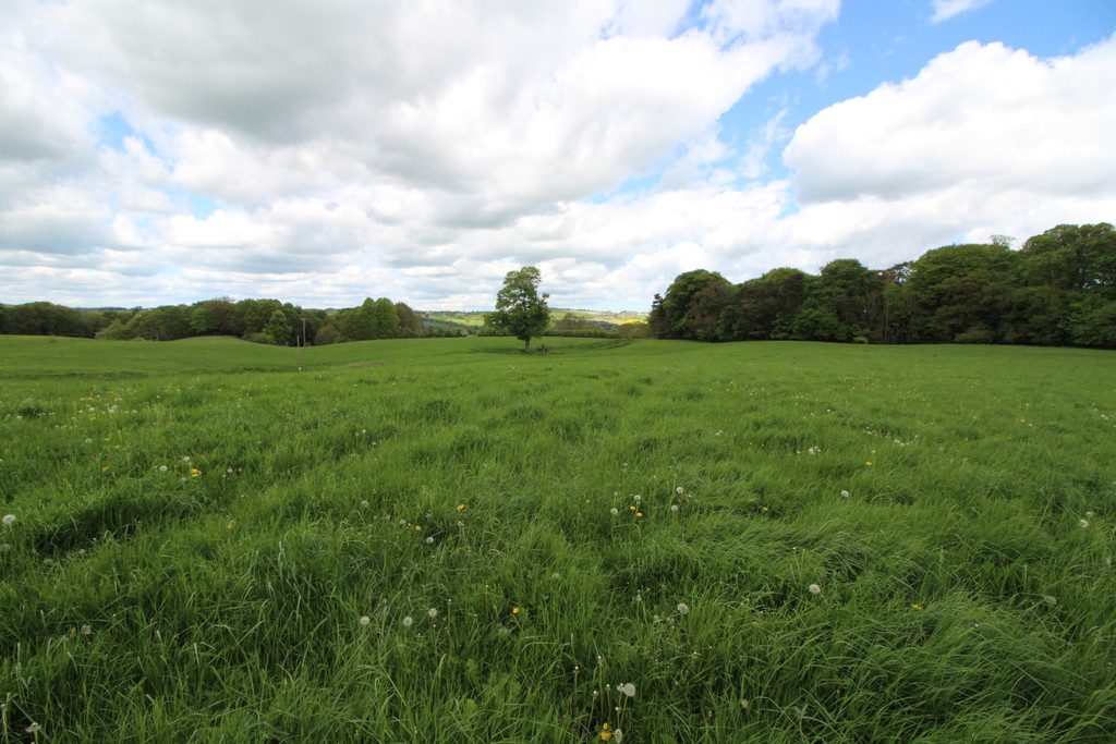 Farm land for sale, Wylam  - Property Image 3