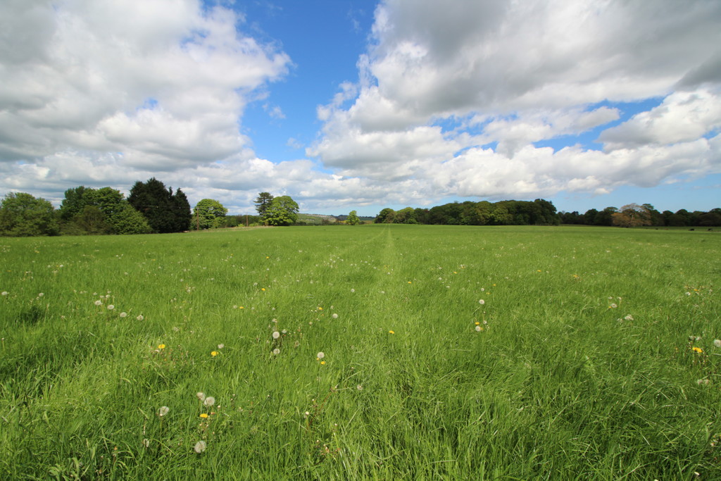 Farm land for sale, Wylam  - Property Image 5