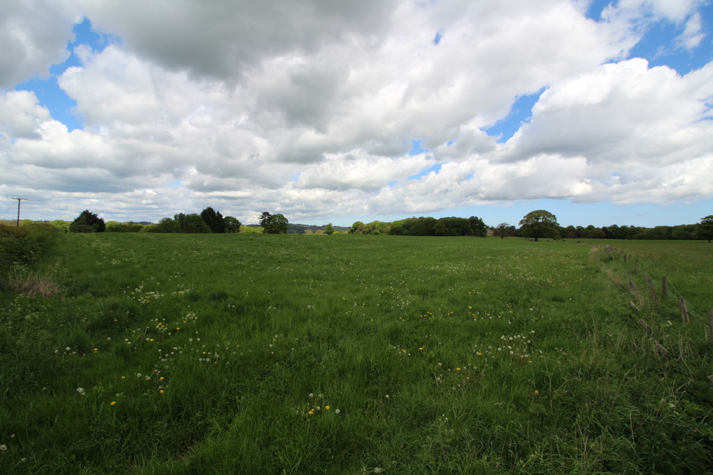 Farm land for sale, Wylam  - Property Image 6