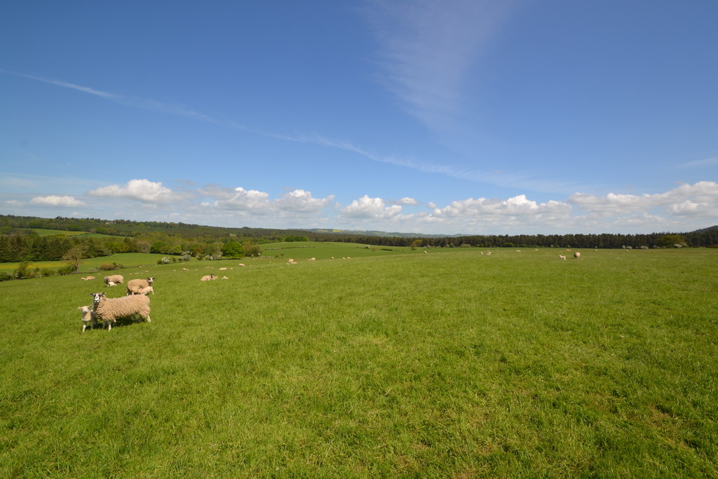 Farm land for sale, Hexham  - Property Image 6