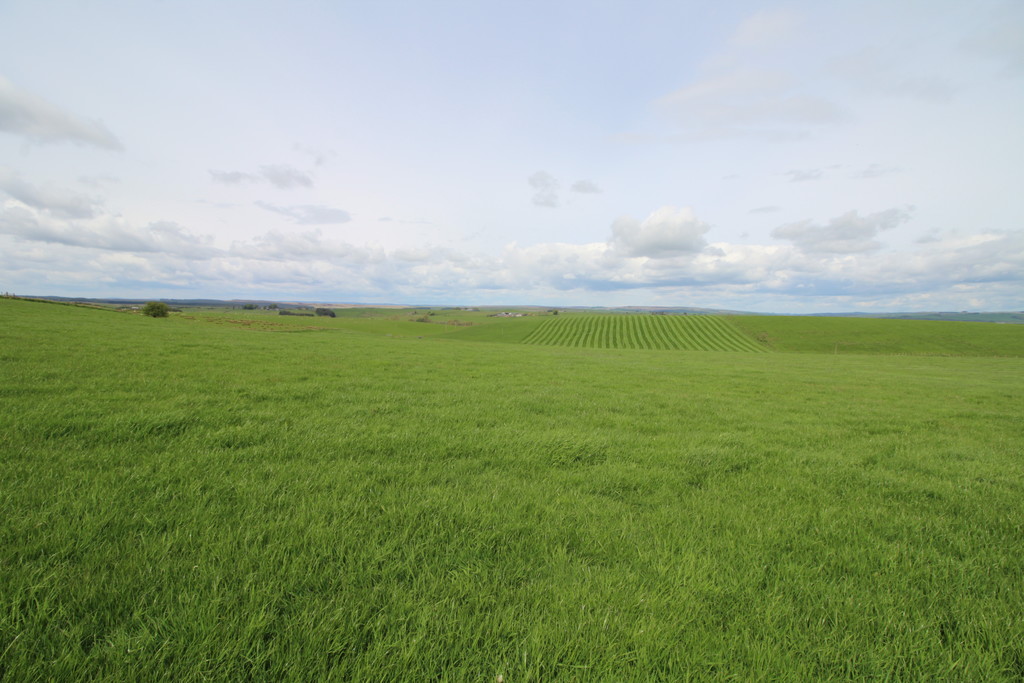 Farm land for sale, Hexham 1