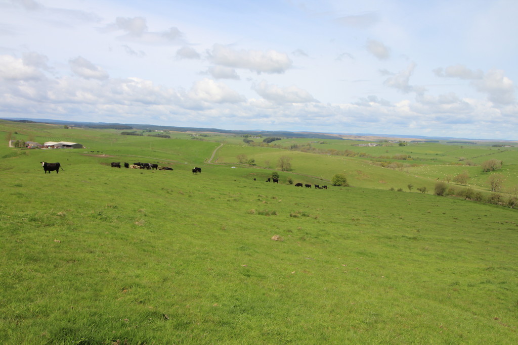 Farm land for sale, Hexham  - Property Image 5