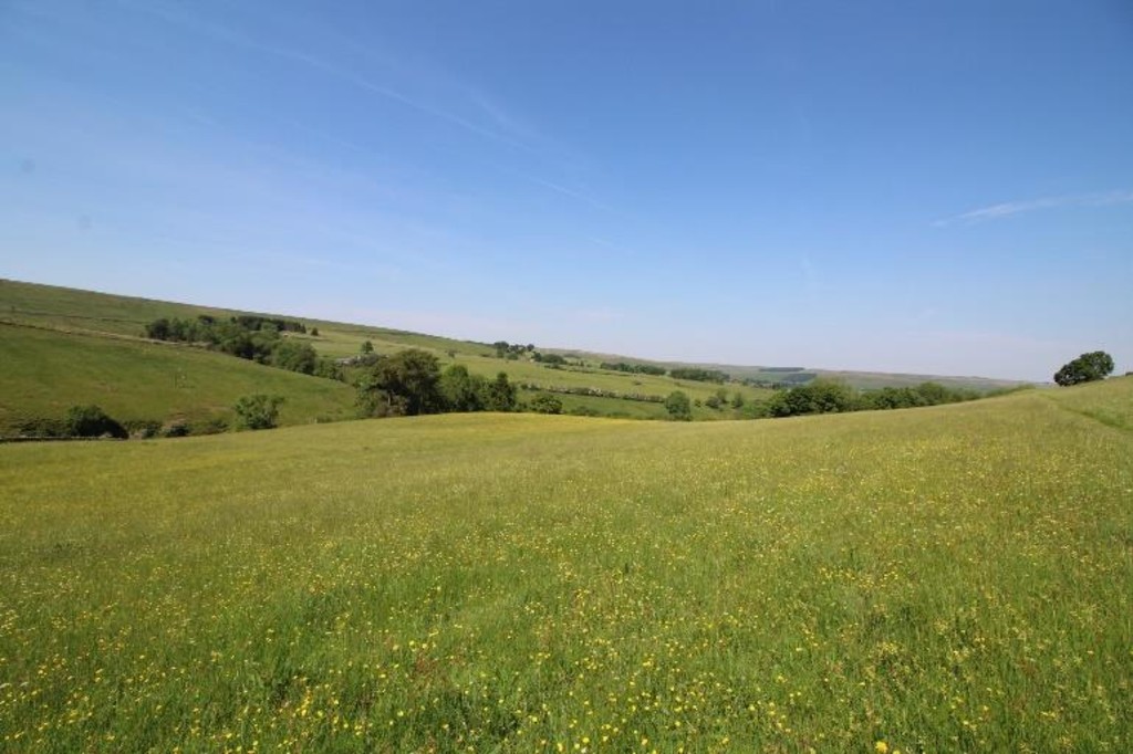 Farm land for sale, Hexham  - Property Image 13