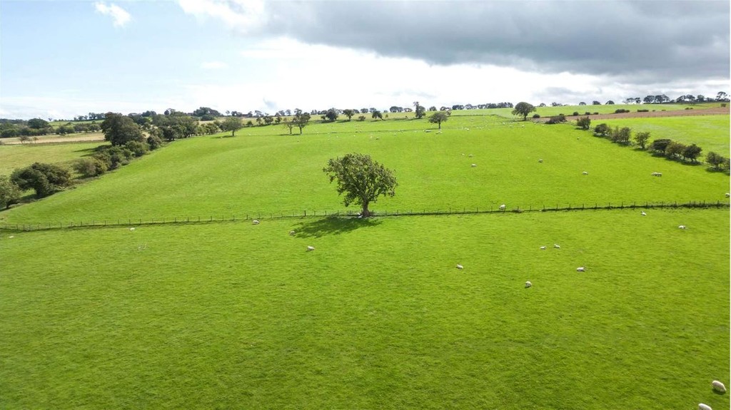 Farm land for sale in Lowgate, Hexham 2