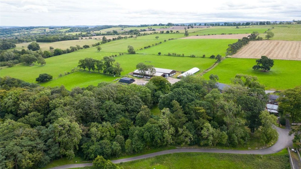 Farm land for sale in Lowgate, Hexham  - Property Image 18