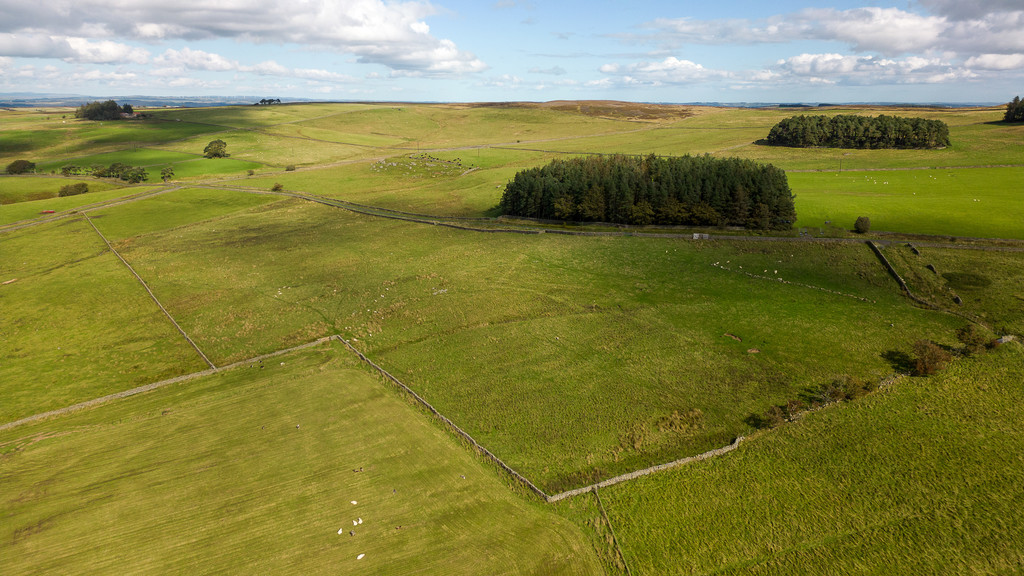 Farm land for sale, Hexham  - Property Image 20