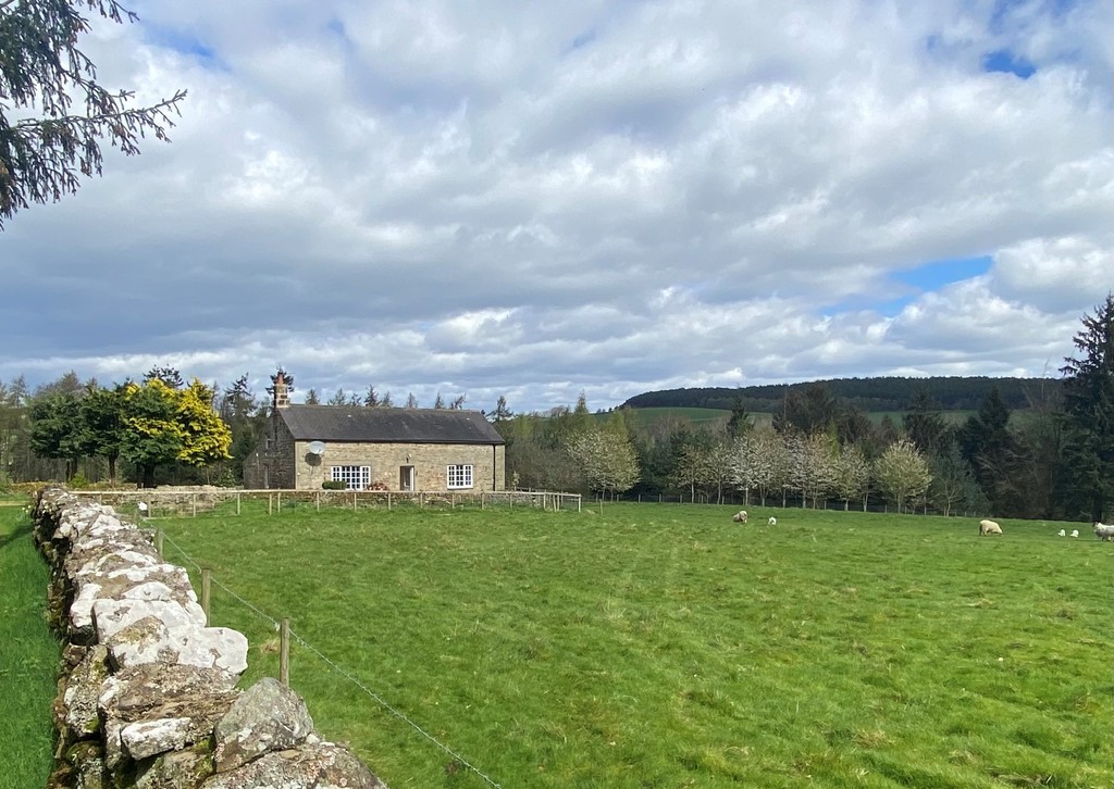 2 bed cottage to rent, Hexham  - Property Image 9