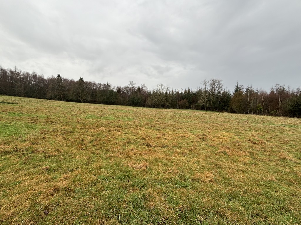 Farm land for sale in Longclose Bank, Consett 1