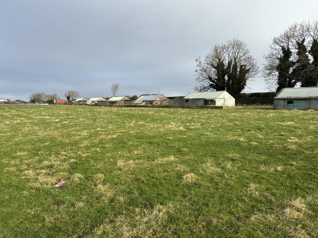 Farm land for sale, Hexham  - Property Image 10