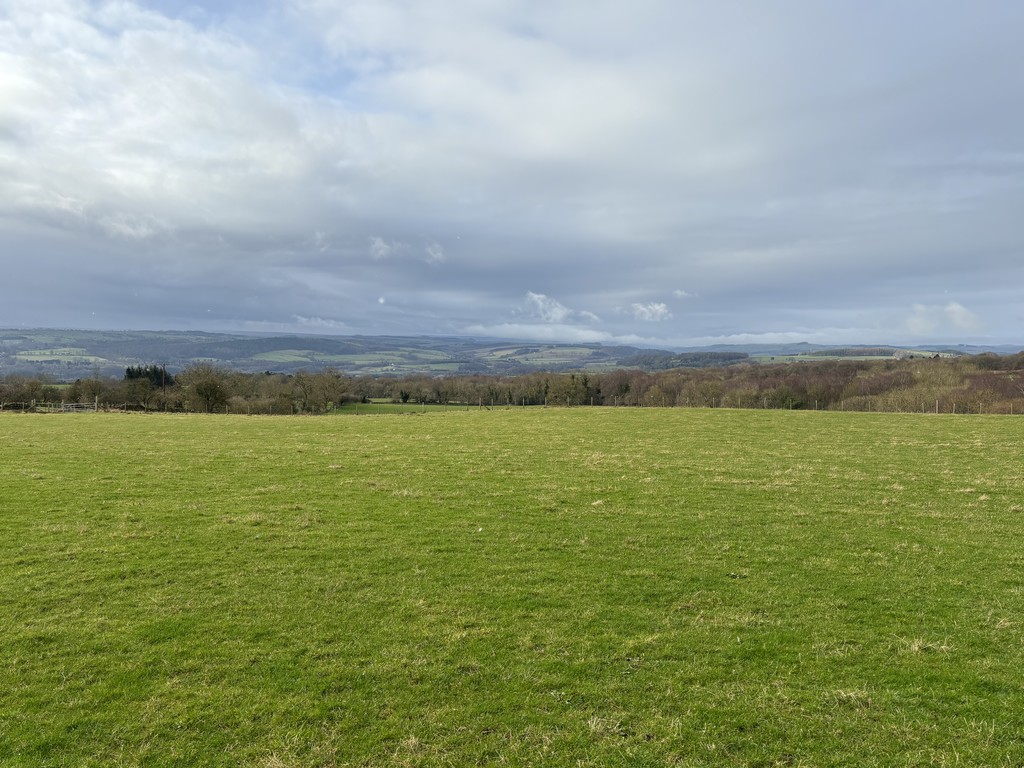 Farm land for sale, Hexham 2