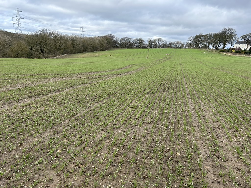 Farm land for sale in Town Kelloe, Durham  - Property Image 1
