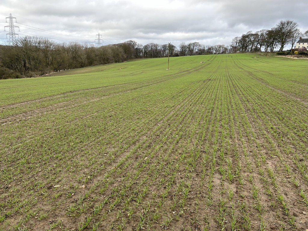 Farm land for sale in Town Kelloe, Durham  - Property Image 2