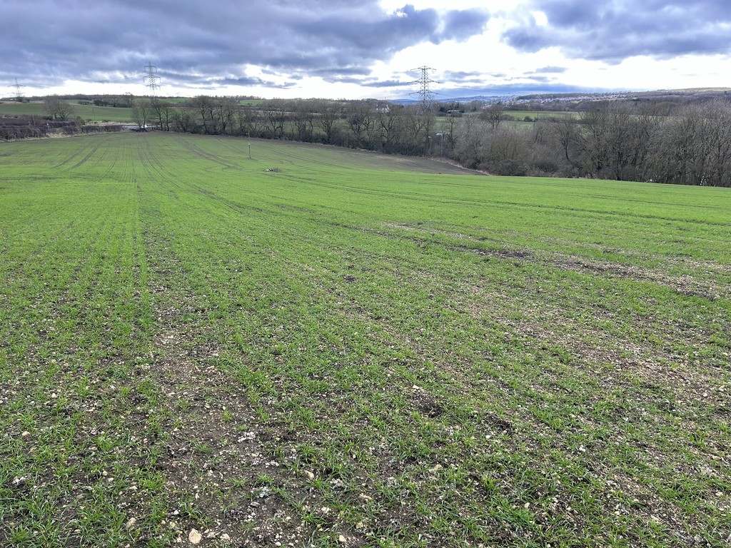 Farm land for sale in Town Kelloe, Durham  - Property Image 3