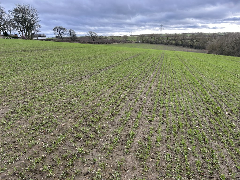 Farm land for sale in Town Kelloe, Durham  - Property Image 4
